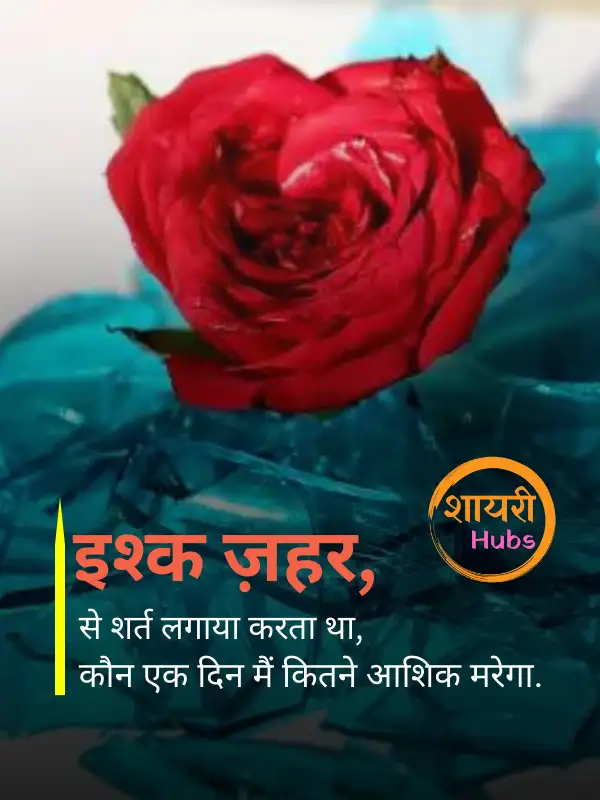 heart touching shayari