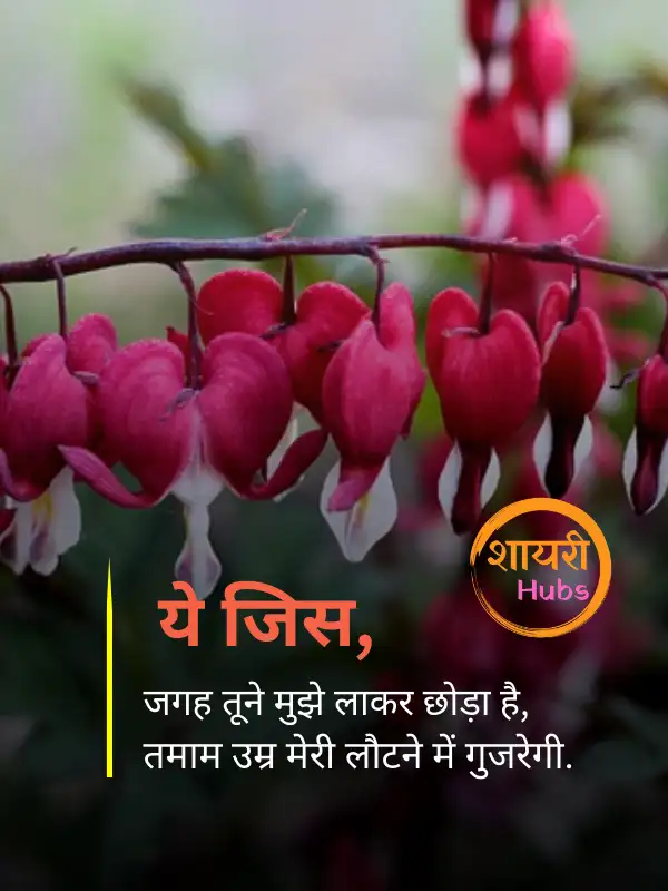 heart touching shayari
