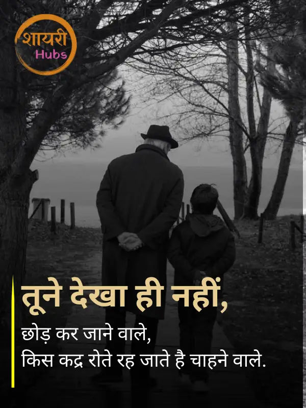 ishq shayari in hindi