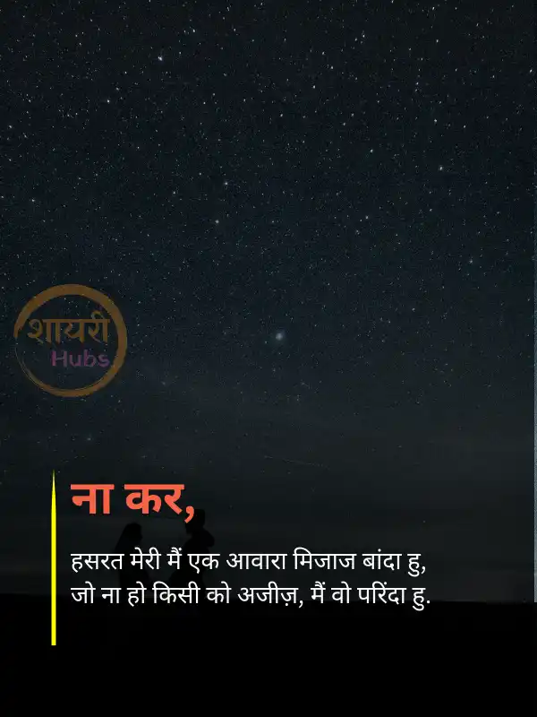 True Love - Love Shayari in Hindi