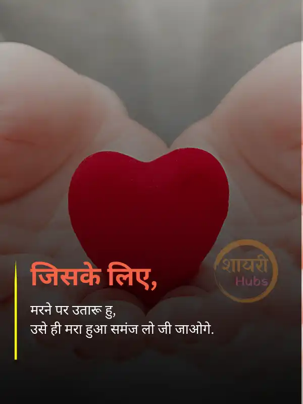 True Love - Love Shayari in Hindi