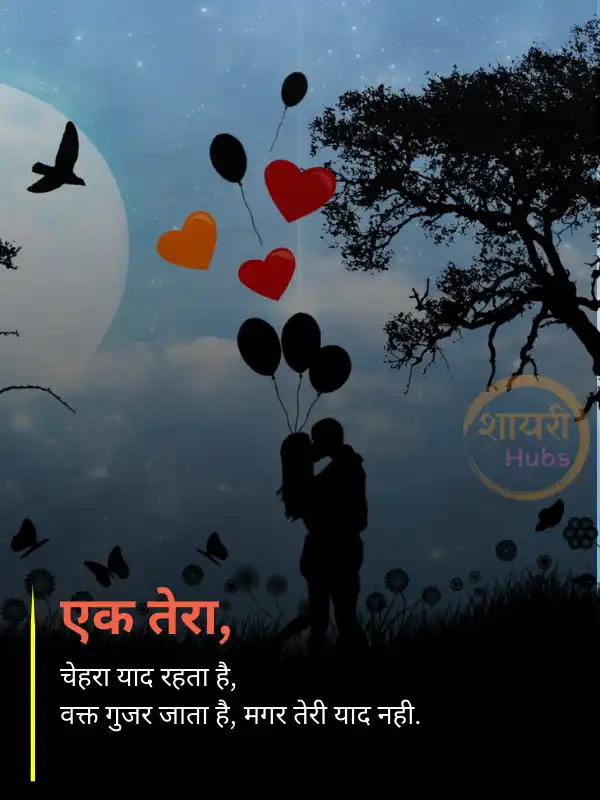 True Love - Love Shayari in Hindi