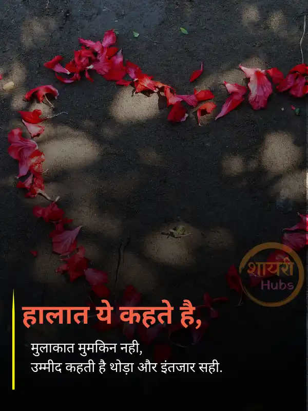 True Love - Love Shayari in Hindi