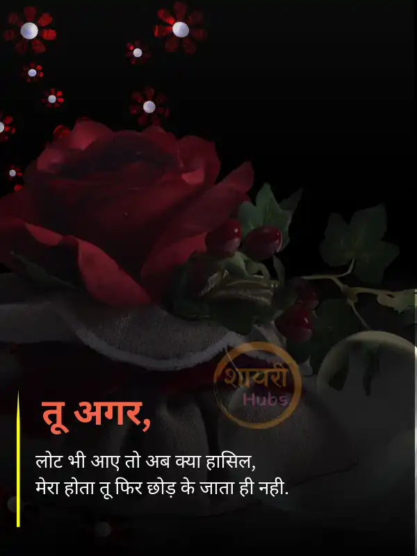 True Love - Love Shayari in Hindi