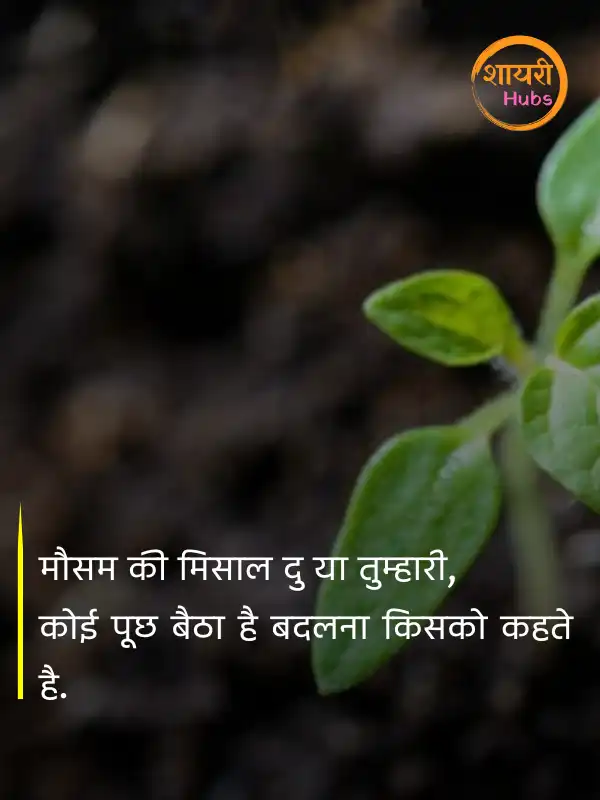mausam shayari