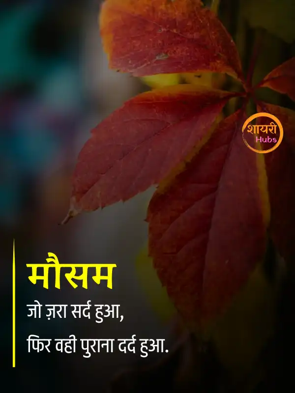mausam shayari