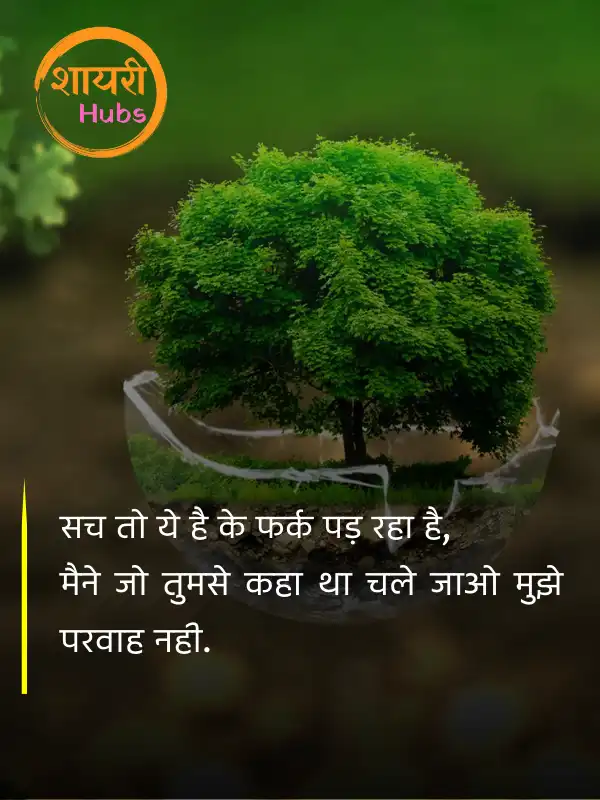 zindagi shayari