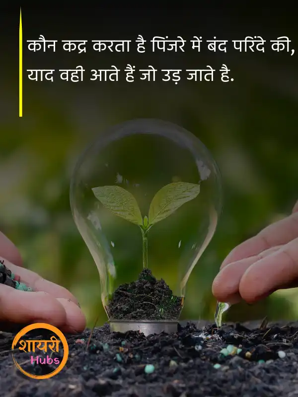 zindagi shayari