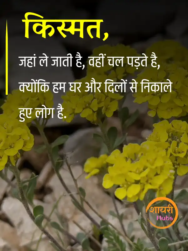 zindagi shayari