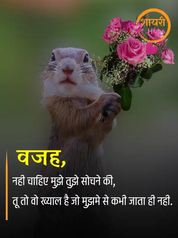 sorry shayari in hindi 