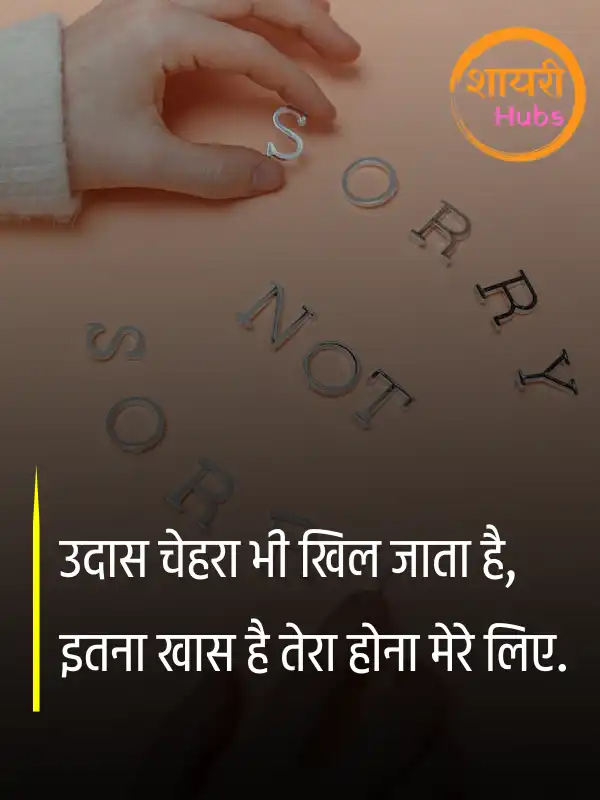 sorry shayari in hindi 