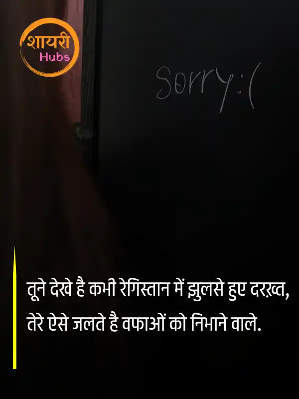sorry shayari in hindi 