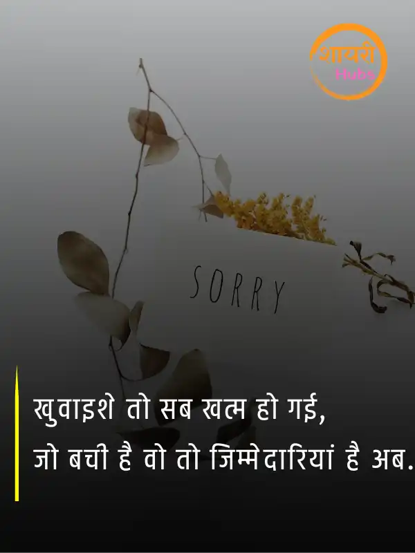 sorry shayari in hindi 