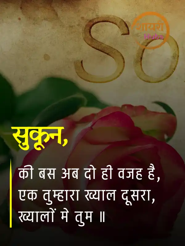 sorry shayari in hindi 