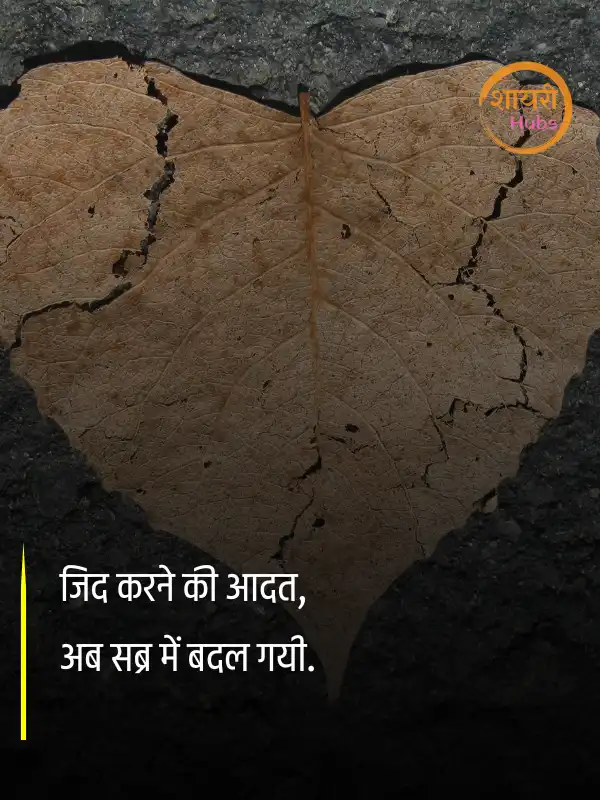 sorry shayari in hindi 