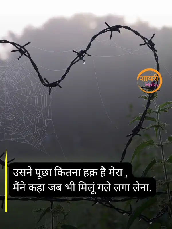 sorry shayari in hindi 