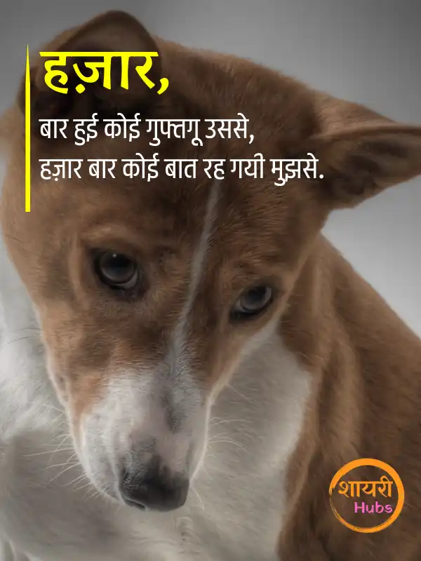 sorry shayari in hindi 