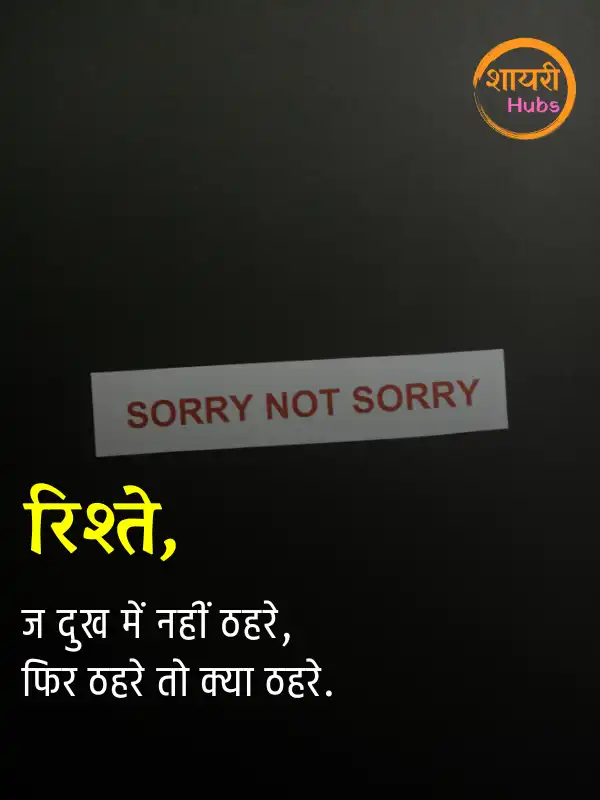 sorry shayari in hindi 
