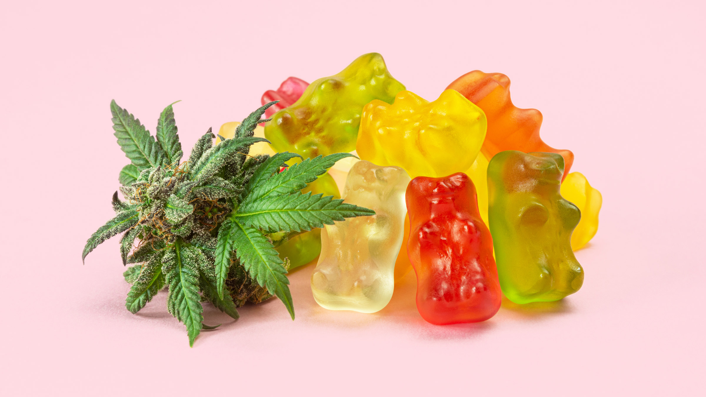 Are Cheap Delta 8 Gummies Worth It? What You Should Know
